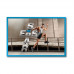 Lifestyle Frames 36" x 24" - Set of 10